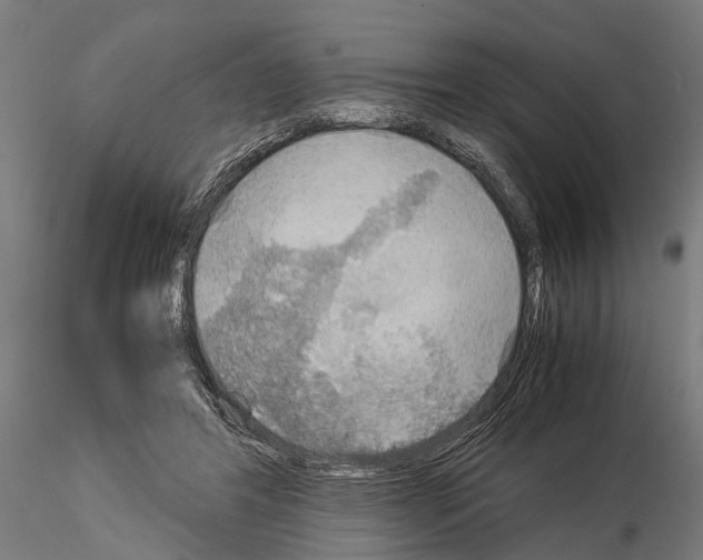 X0000115190404200912091115