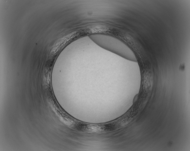 X0000115190405200912091115