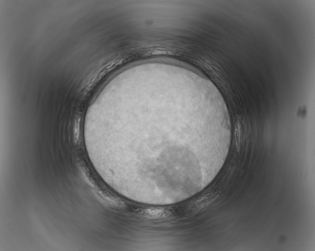 X0000115190406200912091115