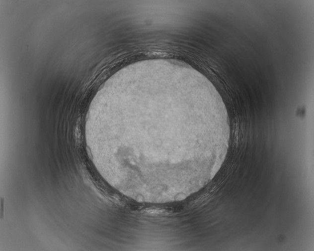 X0000115190408200912091115