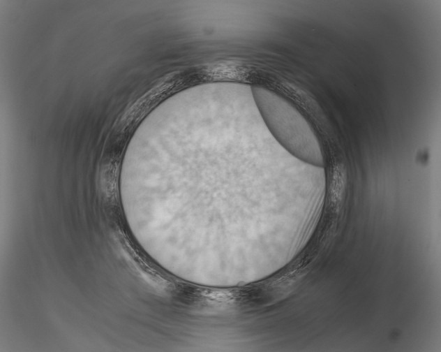 X0000115190409200912091115