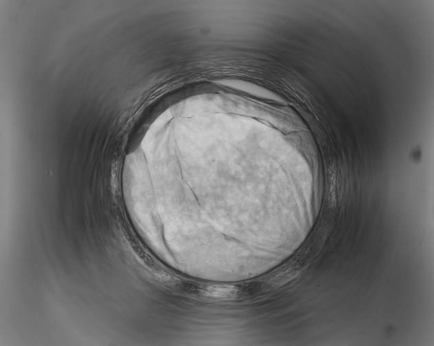 X0000115190410200912091115