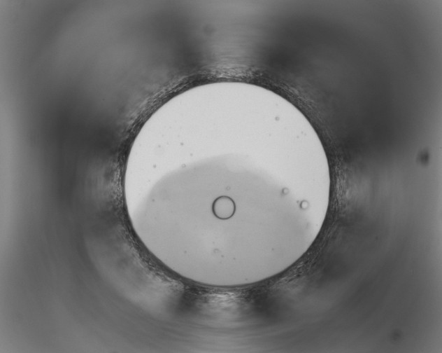 X0000115190411200912091115