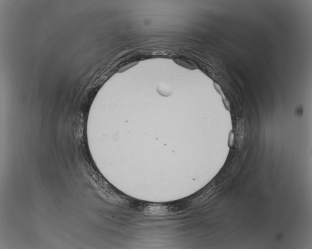 X0000115190413200912091115