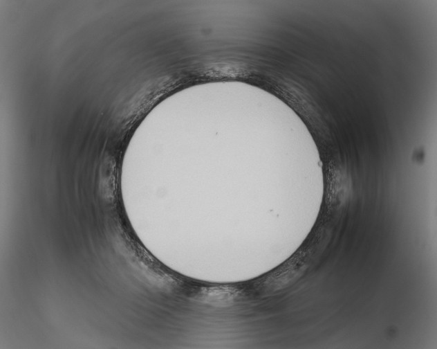 X0000115190414200912091115