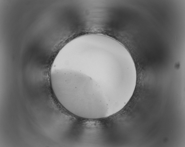 X0000115190415200912091115