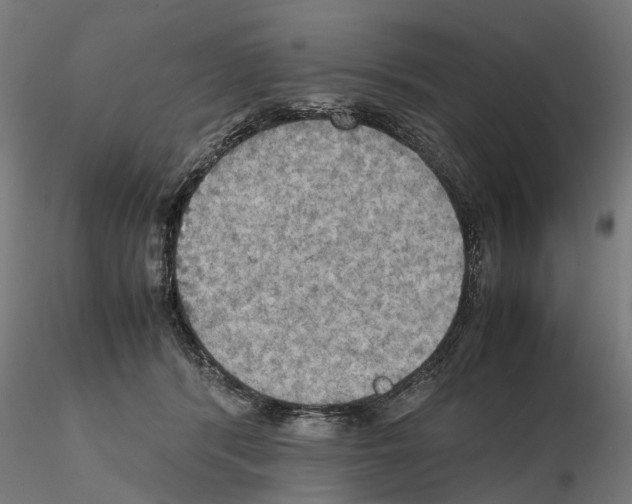 X0000115190416200912091115