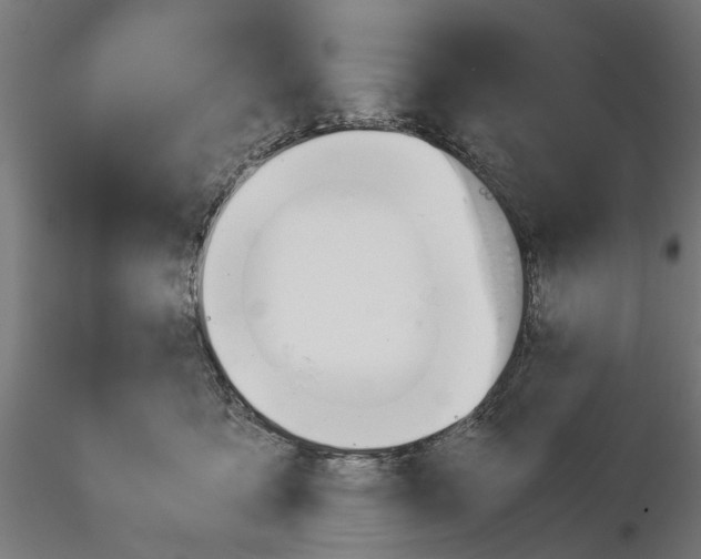 X0000115190419200912091115