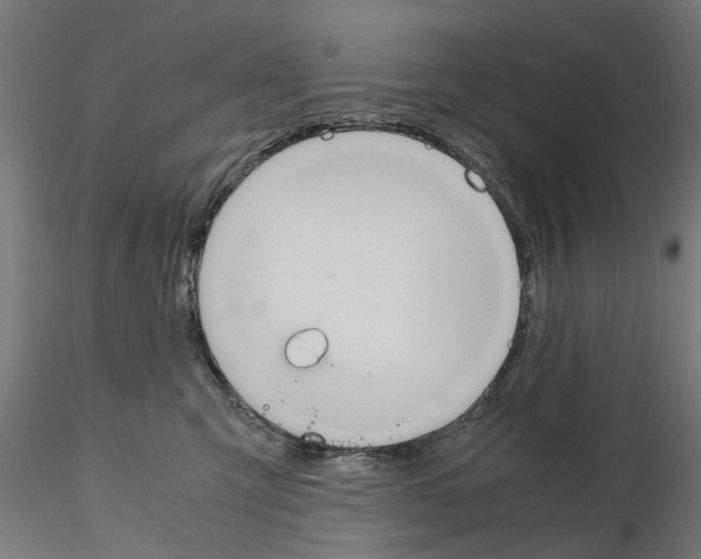 X0000115190423200912091115