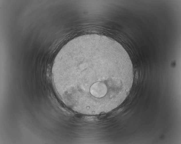 X0000115190424200912091115