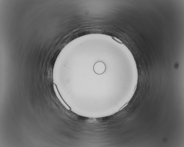 X0000115190425200912091115