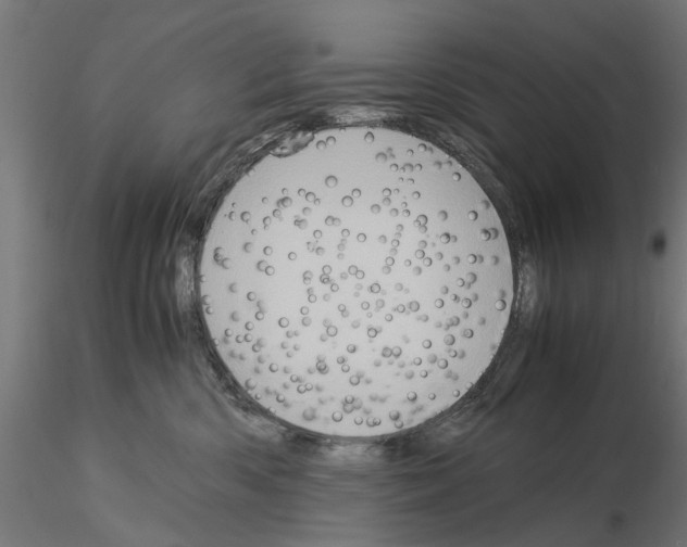 X0000115190426200912091115