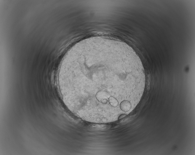 X0000115190428200912091115