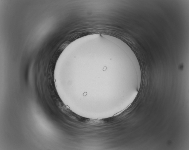 X0000115190429200912091115