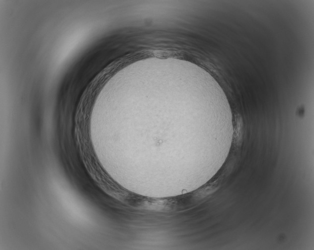 X0000115190430200912091115