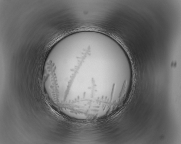 X0000115190433200912091114