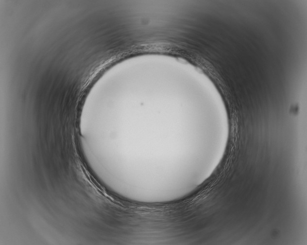 X0000115190434200912091114