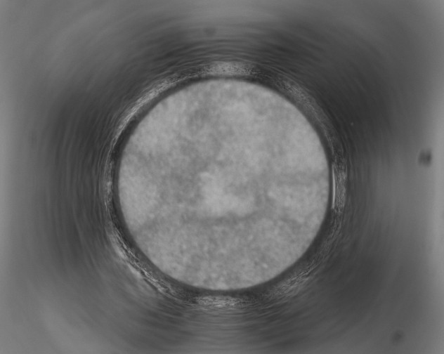 X0000115190435200912091114