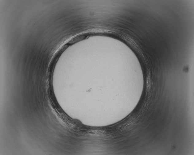 X0000115190436200912091114