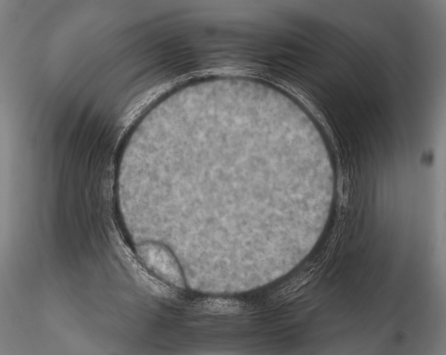 X0000115190437200912091114