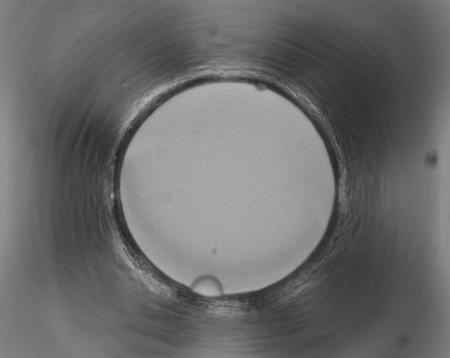 X0000115190438200912091114