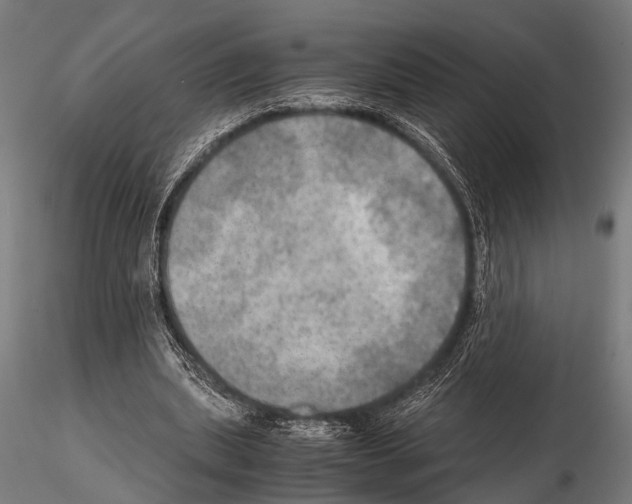 X0000115190439200912091114