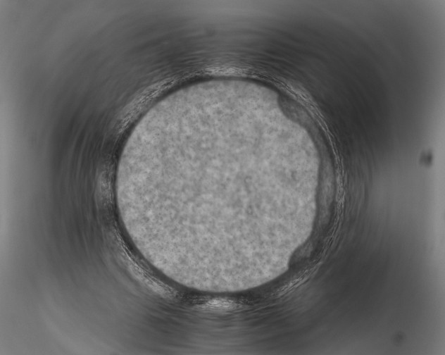 X0000115190441200912091114