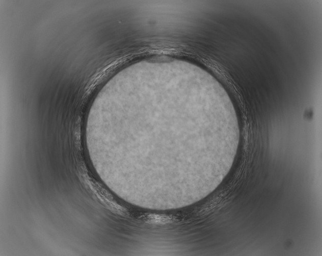 X0000115190442200912091114