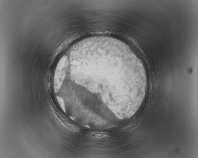 X0000115190443200912091114