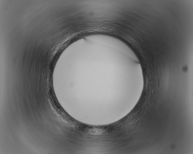 X0000115190444200912091114