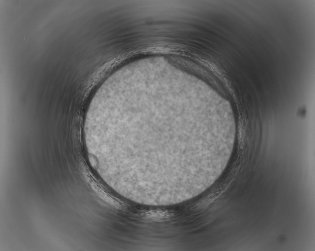 X0000115190445200912091114