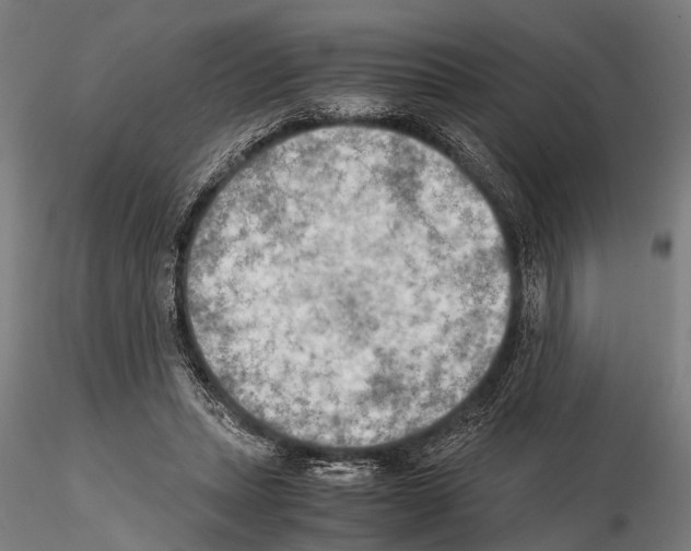 X0000115190447200912091114