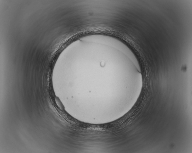 X0000115190448200912091114