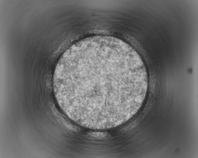 X0000115190449200912091114