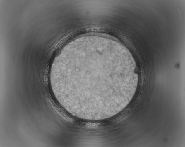 X0000115190450200912091114