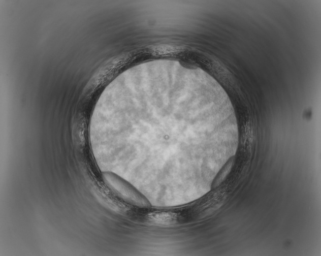 X0000115190452200912091115