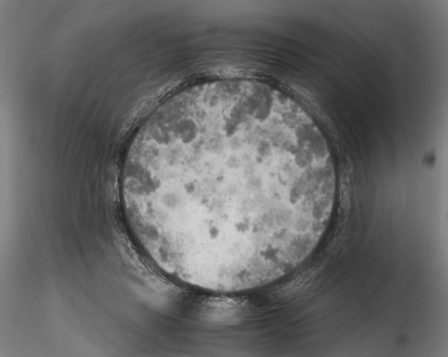 X0000115190453200912091115