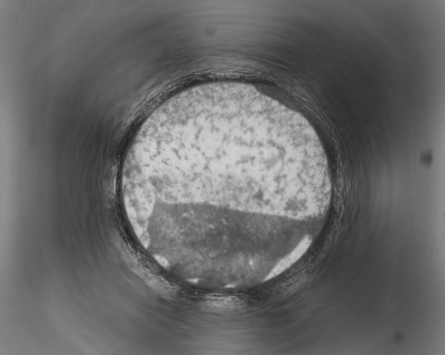 X0000115190454200912091115