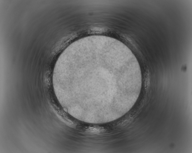 X0000115190455200912091115