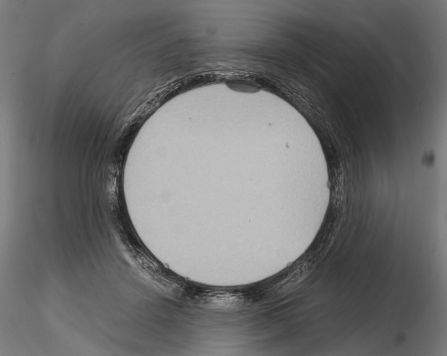 X0000115190456200912091115