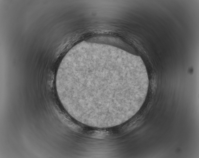 X0000115190458200912091115