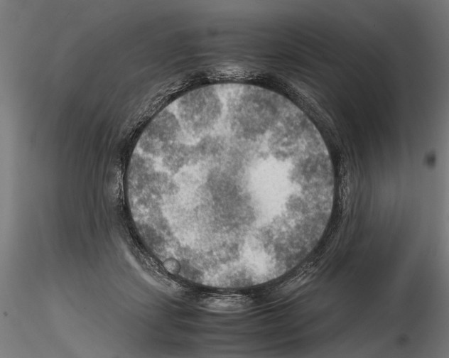 X0000115190459200912091115