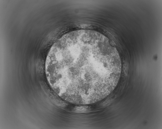 X0000115190461200912091115