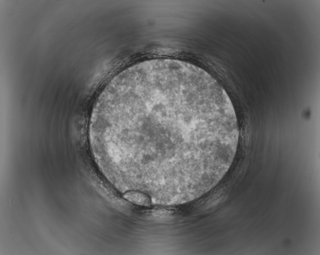 X0000115190462200912091115