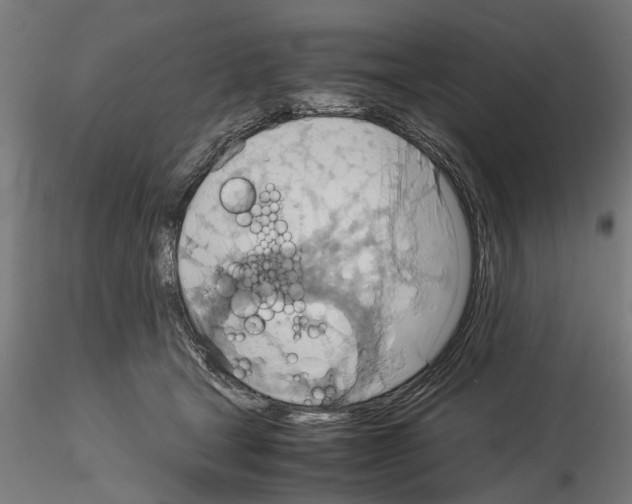 X0000115190465200912091115