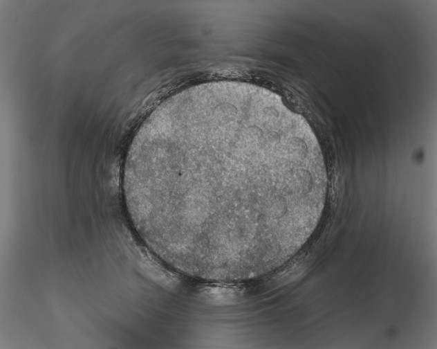 X0000115190466200912091115