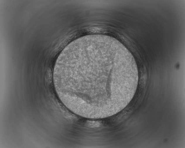 X0000115190469200912091115