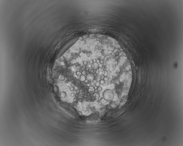 X0000115190470200912091115