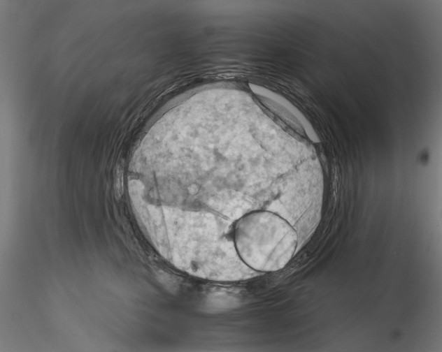 X0000115190471200912091115