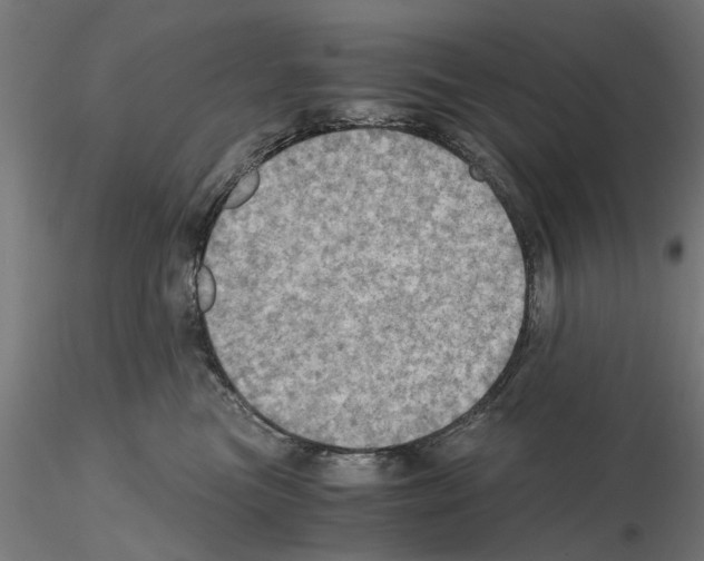 X0000115190473200912091115